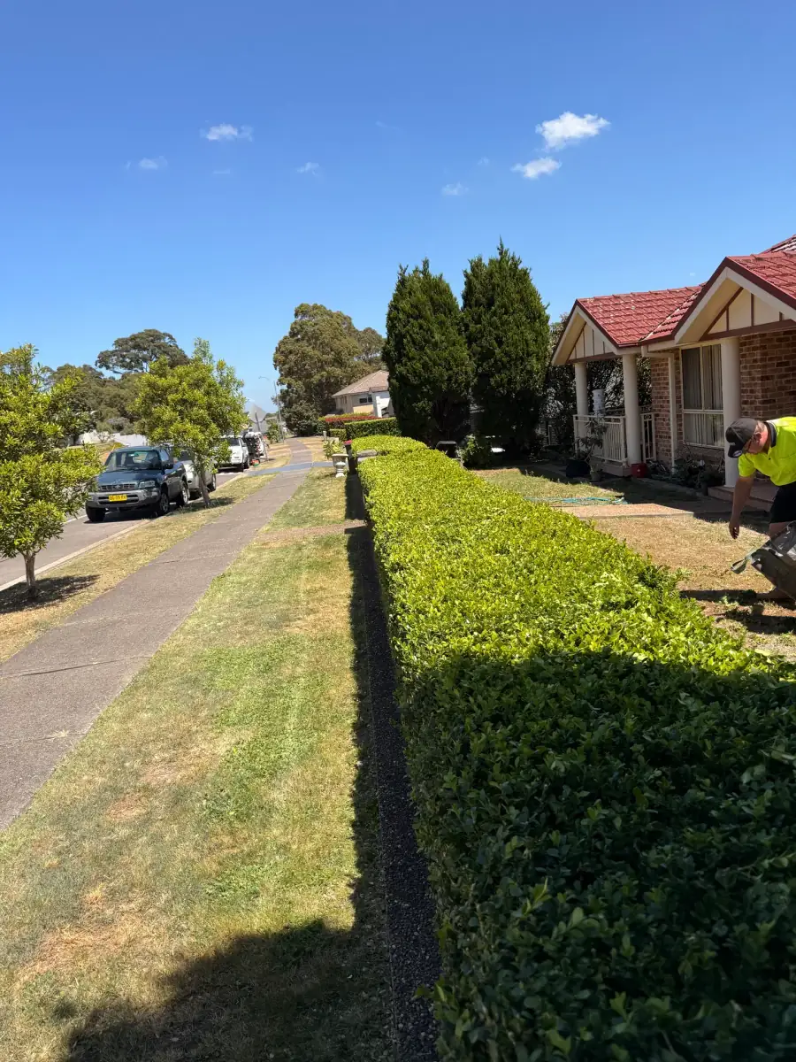Mown lawn beside a coastal property with a water view