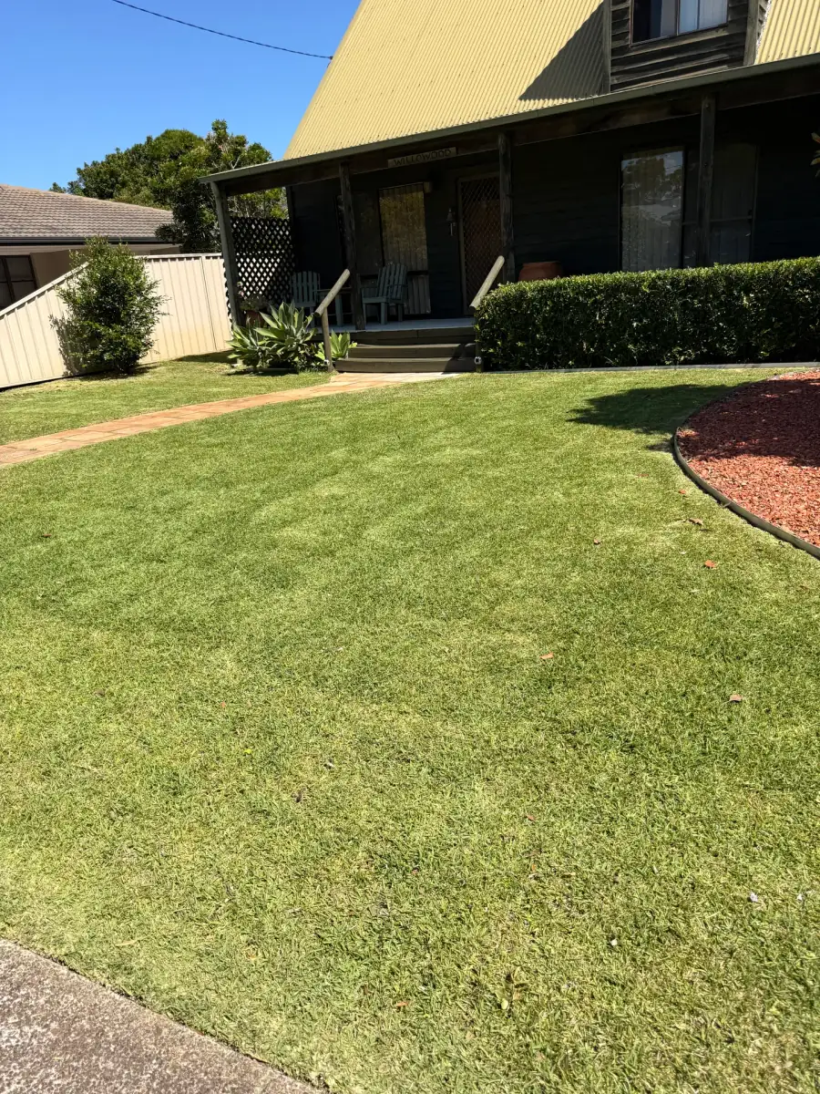 Russell trimming a tall garden hedge