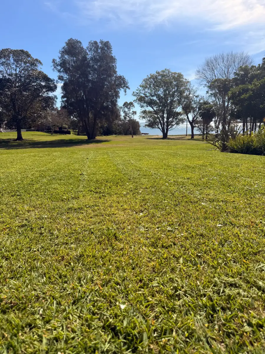 Residential garden and lawn maintenance