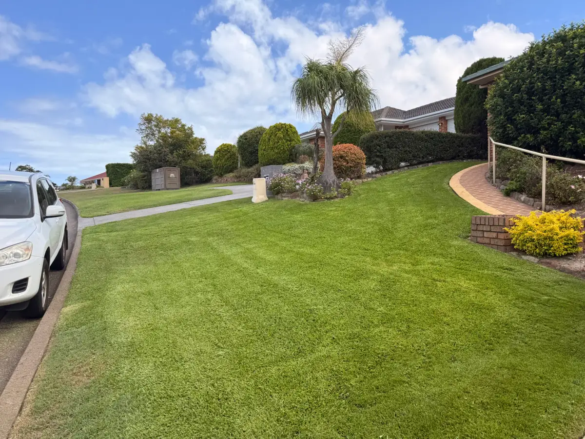 Fresh green lawn and landscaped garden